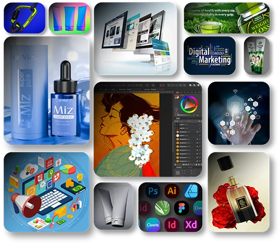 PolyBird Studio work samples overview